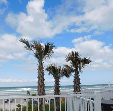 Palm Trees at the Atlantic Ocean